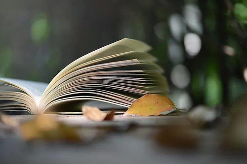 新鄉(xiāng)市新華書店文學(xué)類圖書周榜 文藝創(chuàng)作類熱銷精選